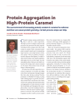 Protein Aggregation in High-Protein Caramel
