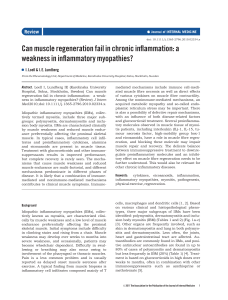 Can muscle regeneration fail in chronic inflammation: a weakness in