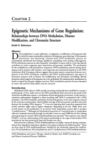 Epigenetic Mechanisms of Gene Regulation