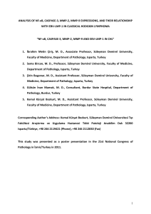 ANALYSIS OF NF-κB, CASPASE-3, MMP-2, MMP