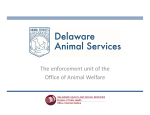 The enforcement unit of the Office of Animal Welfare