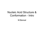 CourseMB206_NucleicAcidStr