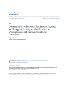 Domains of the Adenovirus E1A Protein Required for