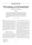 PPARγ2 and KCNJ11 – Two Promising Candidate Genes in the