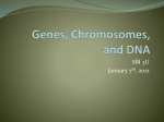 Genes, Chromosomes, and DNA