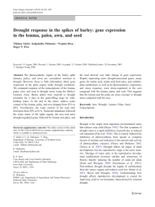 Drought response in the spikes of barley: gene expression in the