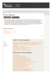 Protein Digestion | NEB