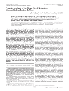 Promoter Analysis of the Mouse Sterol Regulatory Element