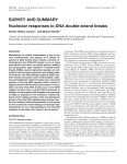 SURVEY AND SUMMARY Nucleolar responses to DNA double