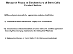 Research Focus in Biochemistry of Stem Cells - Ruhr