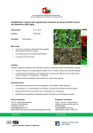 Identification of genes that regulate plant tolerance to adverse