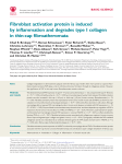 Fibroblast activation protein is induced by