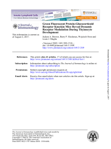 Green Fluorescent Protein-Glucocorticoid Receptor Knockin Mice