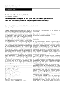 Transcriptional analysis of the gene for glutamine synthetase II and