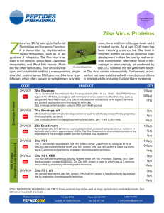 Zika Virus Proteins - Peptides International