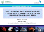EBSA : DESCRIBING AREAS MEETING SCIENTIFIC CRITERIA FOR