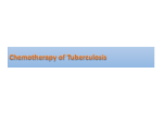 Tuberculosis Chemotherapy