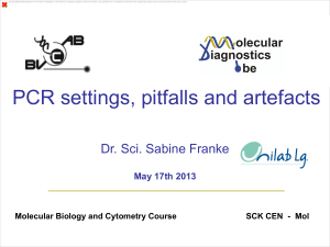 PCR settings, pitfalls and artefacts