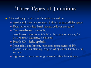 Three Types of Junctions - Wesleyan College Faculty