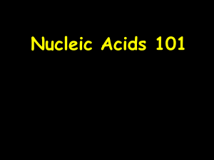 Nucleic Acids 101 Last week`s grand challenge