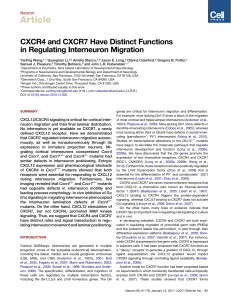 CXCR4 and CXCR7 Have Distinct Functions in Regulating