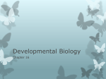 Developmental Biology