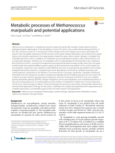 Metabolic processes of Methanococcus maripaludis and potential