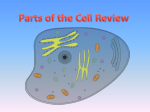 Cell part review