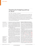 Targeting the Hedgehog pathway in cancer