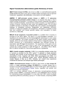 Signal Transduction abbreviations guide: Dictionary of terms Akt