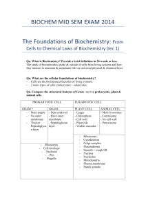 BIOCHEM MID SEM EXAM 2014 The Foundations of Biochemistry