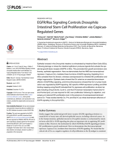 EGFR/Ras Signaling Controls Drosophila Intestinal Stem
