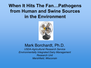 Pathogens from Human and Swine Sources in the