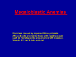 Megaloblastic Anemias