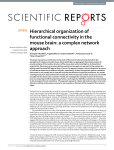 Hierarchical organization of functional connectivity in the mouse brain