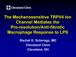 The Mechanosensitive TRPV4 Ion Channel