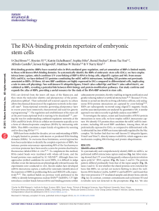 The RNA-binding protein repertoire of embryonic