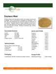 Soybean Meal - International Feed
