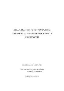 della protein function during differential growth - RiuNet
