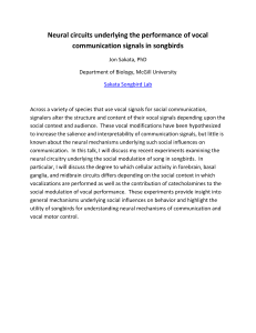 Neural circuits underlying the performance of vocal communication