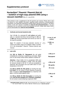 NucleoSpin® Plasmid / Plasmid (NoLid) – isolation of high
