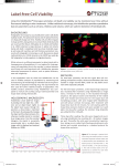 Label-free Cell Viability - Phase Holographic Imaging
