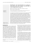 Identification and characterization of a cluster of transcription start