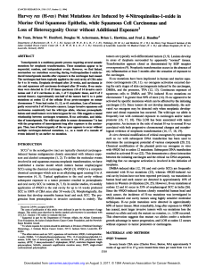 Harvey ras (H-ras) Point Mutations Are Induced by 4