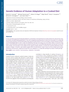 Genetic Evidence of Human Adaptation to a Cooked Diet