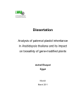 Analysis of paternal plastid inheritance in Arabidopsis thaliana and