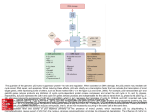 Slide 1 - AccessPharmacy