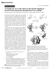 An Engineered Aryl Azide Ligase for Site-Specific