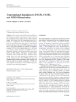Transcriptional Regulation by FOXP1, FOXP2, and