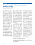 Spindle Positioning, Meiotic Nonreduction, and Polyploidy in Plants